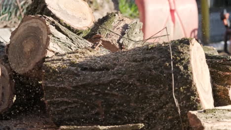 Slow-Motion-View-Of-Log-Of-Wood-Dropping-On-Pile-Of-Already-Cut-Logs-On-A-Sunny-Day---Close-Up-Shot