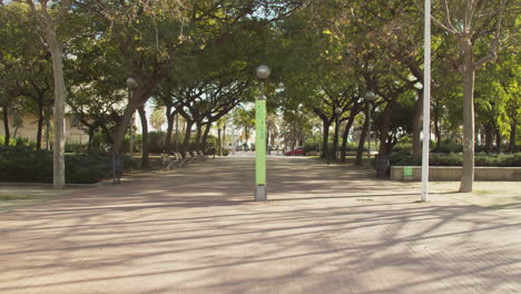 Parque-De-La-Ciudad-Abierta-Con-Muchos-árboles-En-Invierno