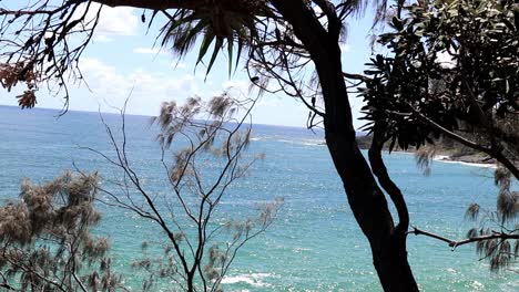 Küstenszene-Von-Bäumen-Und-Pflanzen-Mit-Dem-Pazifischen-Ozean-Im-Hintergrund