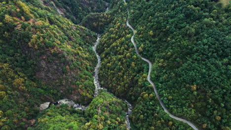 Camino-Sinuoso-Por-Un-Denso-Bosque-Verde-Con-Un-Río-Que-Fluye-Por-El-Valle-En-Verano-En-Los-Alpes-De-Orobie,-Italia