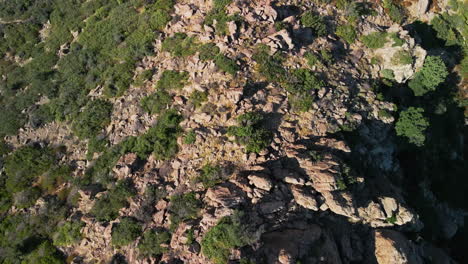Vista-De-Pájaro-Sobre-La-Montaña-Rocosa-Con-Vegetación-Mediterránea-Verde-En-Un-Día-Soleado-En-Cerdeña,-Italia---Toma-Aérea-De-Drones