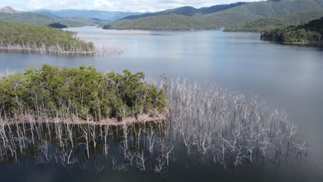 Flying-over-a-lake-with-dead-trees-peninsula-and-mountain-in-the-background