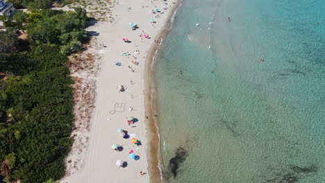 Birdseye-Aerial-View,-Public-Beach-on-Sardinia-Island,-Italy,-Colorful-Parasols,-Clear-Mediterranean-Sea-Water-on-Sunny-Summer-Day