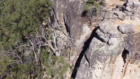 Drone-Descending-over-a-cliff-into-the-bush