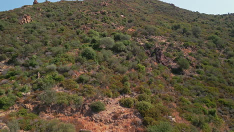 Arid-Mediterranean-Rock-Mountains-With-Growing-Plants-At-Tropical-Summertime-In-Sardinia-Italy