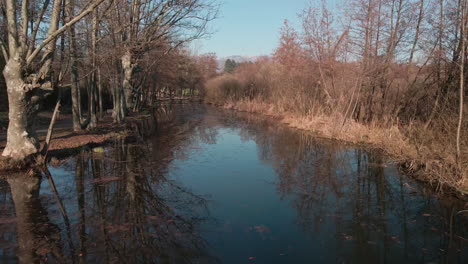Schöne-Reflexion-Von-Bäumen-Und-Büschen-Auf-Ruhigem-Seewasser-In-Norditalien---Luftdrohnenaufnahme