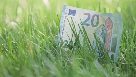 Billete-De-20-Euros---Billete-De-Veinte-Euros-Sobre-La-Hierba-Verde