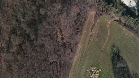 Top-Down-Blick-Auf-Die-Landschaft-Mit-Landwirtschaftlichen-Feldern-Und-Wäldern-In-Norditalien-Tagsüber---Drohnenaufnahme-Aus-Der-Luft