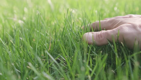 Muscular-Hand-Of-A-Man-Touches-The-Green-Grass-During-Sunny-Day-In-Garden