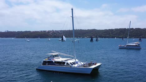 Hafen-Von-Sydney---Yachtsegeln