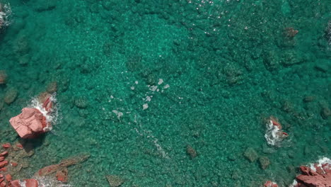 Top-Down-View-Of-Tropical-Transparent-Water-With-Group-Of-White-Jellyfish-On-Surface-And-Red-Rock-Cliffs-During-Summer-In-Sardinia,-Italy---aerial,-static-shot