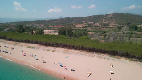 Pinar-Mediterráneo-Cerca-De-La-Hermosa-Playa-Con-Mar-Azul-Cristalino-Y-Turistas-De-Vacaciones-En-Cerdeña,-Italia---Drone-Aéreo,-Tiro-De-Retroceso