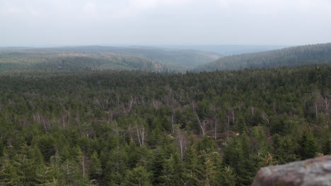 View-over-Schwarzwald-forest-with-rock-in-Baden-Württemberg-Germany