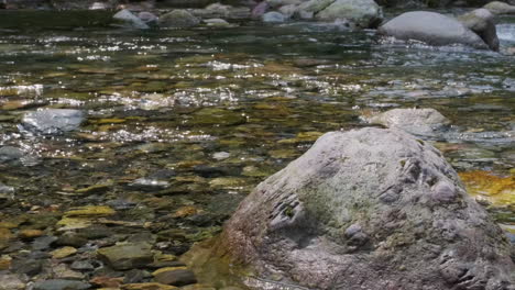 Close-Up-View-Of-Stream-Flowing-Over-Rocks-During-Summer-Day-In-Tropical-Forest---static-shot