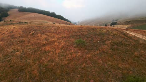 überführungsebenen-Mit-Trockenem-Gras-Am-Nebligen-Morgen-In-Der-Ländlichen-Landschaft-Umbriens-In-Italien