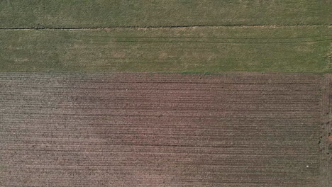 Bird's-Eye-View-Of-Farmland-With-Agricultural-Crops-In-Rural-Area-During-The-End-Of-Winter-In-Arcore,-Northern-Italy---aerial-drone-shot