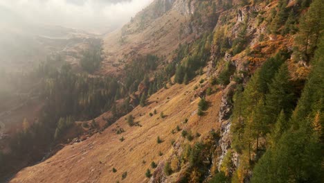 Hoch-Aufragende-Neblige-Berge-Mit-Nadelwald-Am-Frühen-Morgen-Im-Argentera-Tal,-Piemont,-Italien