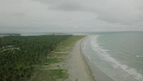 Endless-sandy-beach-of-Ecuador-with-palm-tree-forest-on-moody-stormy-day,-aerial-drone-shot