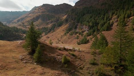 Bosque-De-Coníferas-En-Las-Montañas-Del-Macizo-Con-Un-Arroyo-Que-Fluye-En-El-Valle-De-Argentera-En-La-Provincia-De-Cuneo,-Piamonte,-Italia
