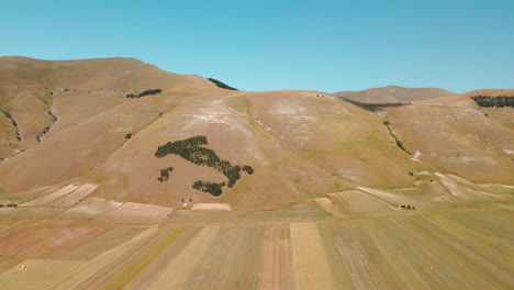 Riesige-Landwirtschaftliche-Felder-Mit-Berglandschaft-Im-Hintergrund-Im-Sommer-In-Piana-Grande,-Castelluccio-Di-Norcia,-Italien