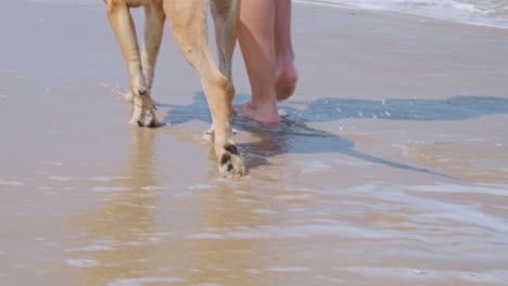 Frau-Und-Ihr-Hund-Gehen-Im-Sommer-Mit-Schäumenden-Wellen-Am-Meer-Spazieren