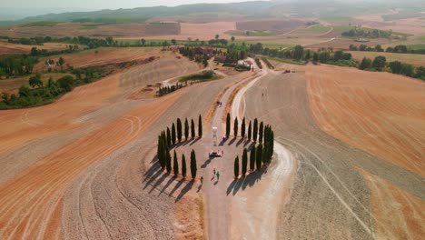 Arid-Agricultural-Fields-And-Green-Cypresses-During-Summer-Near-San-Quirico-d'Orcia,-Italy---aerial-drone-shot