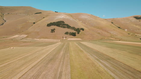 Weite-Bäuerliche-Felder-Mit-Berglandschaft-Im-Hintergrund-In-Piana-Grande-In-Der-Nähe-Von-Castelluccio-Di-Norcia,-Toskana-Italien