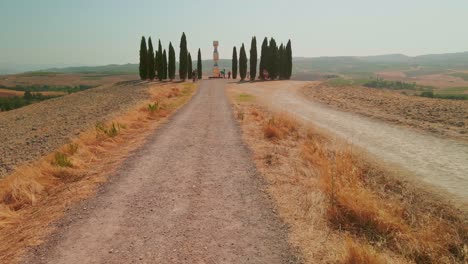 Group-of-Italian-Cypresses-near-San-Quirico-d´Orcia---Beautiful-Landscape-Scenery---Val-d’Orcia,-Tuscany,-Italy---drone-shot
