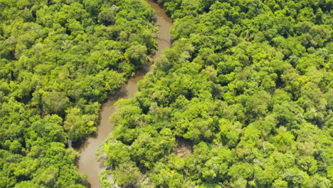 Unglaublich-Hochfliegende-Luftaufnahme-Des-Dichten-Dschungels-Von-Guyana
