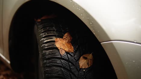 Car-tire-with-leafs-on-it-while-being-parked-in-the-forest-during-fall-on-a-rainy-day