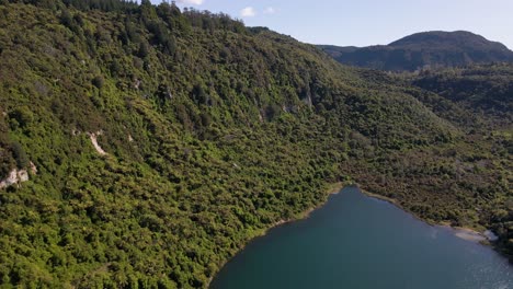 Incredible-aerial-dolly-in-showing-view-of-the-lush-dense-forest-surrounding-Lake-Tarawera,-New-Zealand