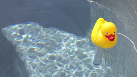 Yellow-Rubber-Duck-chlorine-tablet-holder-floating-around-on-the-water-of-a-hot-tub-on-sunny-summer-day