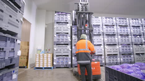 4K-Warehouse-Worker-Lifting-Pallet-From-Height-With-Pallet-Jack-Machinery