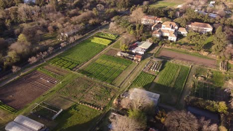 Orbit-Shot-Of-Agriculture-Green-Fields,-Vegetable-Farm-At-Sunset,-Agronomia,-Argentine