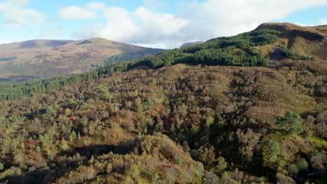 A-drone-flies-slowly-forward-and-rotates-above-a-forest-canopy-of-native-birch-trees-in-full-autumn-colour-and-a-non-native-conifer-plantation-set-amongst-a-hilly-landscape