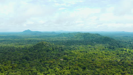 Atemberaubende-Weitwinkeldrohnenaufnahme-Des-üppigen-Dschungels-In-Guyana