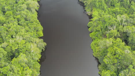 Beautiful-birds-eye-view-overlooking-a-calm-river-running-through-the-jungle-in-Guyana