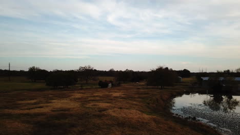 Slow-aerial-dolly-past-a-pond-towards-horses-in-a-pasture
