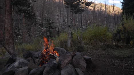 Wide-angle-shot-of-campfire-with-dense-forest-in-background