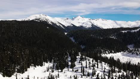 Impresionante-Escena-De-Hermosos-Bosques-Siempre-Verdes-Cubiertos-De-Nieve-Con-Majestuosos-Picos-Montañosos-En-El-Fondo