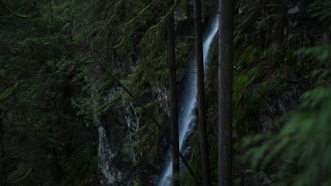 Cinematic-Scene-of-a-Waterfall-running-through-the-rainforest-of-the-Lynn-Valley-in-North-Vancouver,-BC,-Canada-,-pan-right-,-side-profile-shot