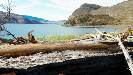 burned-logs-on-the-beaches-of-Kamloops-Lake-on-a-sunny-day-in-the-fall