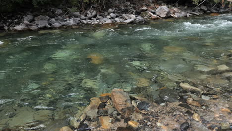 Crystal-Clear-Water-Flowing-over-Rocky-River-Bottom