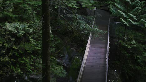 Schwenk-Auf-Eine-Brücke-über-Klippen-Im-Lynn-Valley-Im-Norden-Von-Vancouver,-British-Columbia,-Kanada