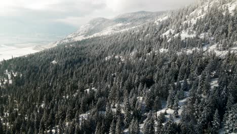 Reverse-reveal-shot-of-snow-capped-forests-along-a-hillside-of-the-Nicola-Valley-on-a-cloudy-day-in-the-winter-with-sunshine-close-to-Merritt,-BC-Canada