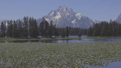 Slow-tilt-up-to-tall-mountains-above-a-calm-pond-in-western-Wyoming