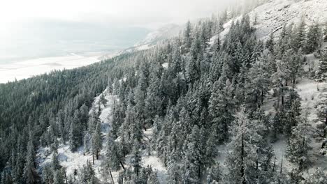 Snow-covered-trees-on-top-of-the-Mountainside-of-the-Nicola-Valley-on-a-cloudy-day-in-the-winter-with-sunshine-close-to-Merritt,-BC-Canada