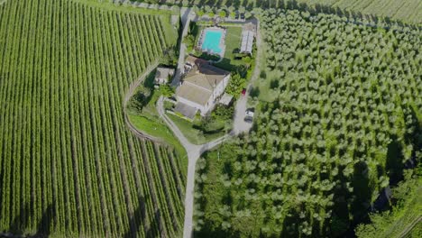 Top-Aerial-View-Of-A-Tuscan-Villa-In-Italy-With-Vineyards-And-Olive-Trees