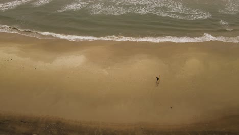 Slow-motion-of-surfer-walking-on-La-Pedrera-beach-before-entering-Atlantic-ocean-waters,-Uruguay