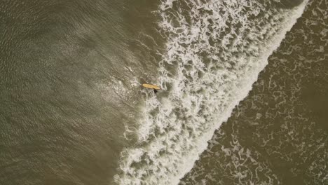 Drone-top-down-shot-of-surfer-entering-Atlantic-ocean-during-sunny-day-with-waves-for-surf-lesson